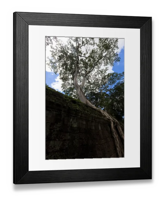 Framed Print : Angkor thom, the best archeological site, Cambodia
