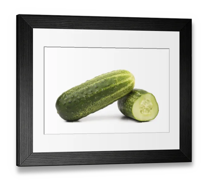 Framed Print : Split of cucumber isolated on a white background Framed Print : Split of cucumber isolated on a white background