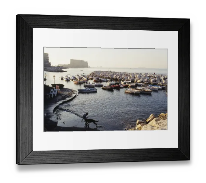Framed Print : 8-2009