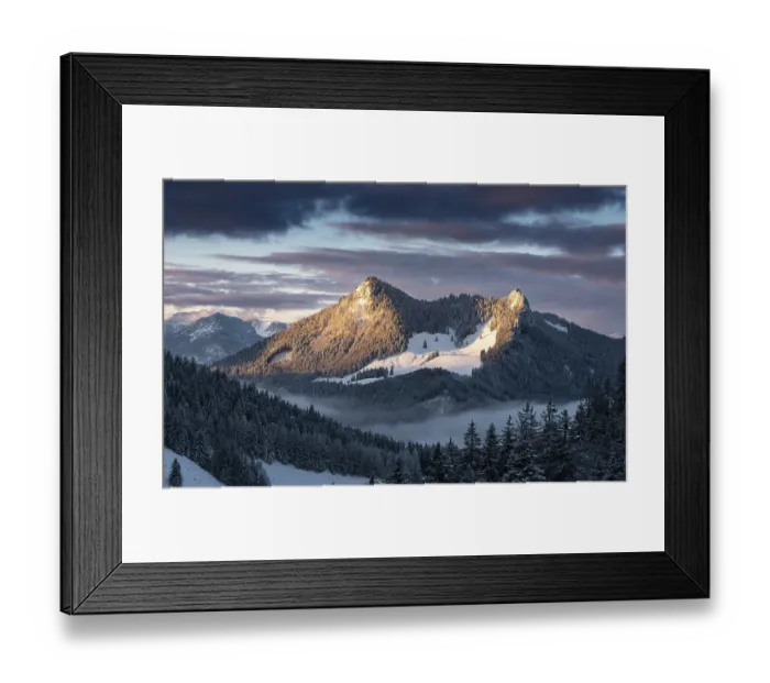 Framed Print : The sunset illuminates snow-capped mountain peaks surrounded by fog and spruce trees (Picea abies) Framed Print : The sunset illuminates snow-capped mountain peaks surrounded by fog and spruce trees (Picea abies)