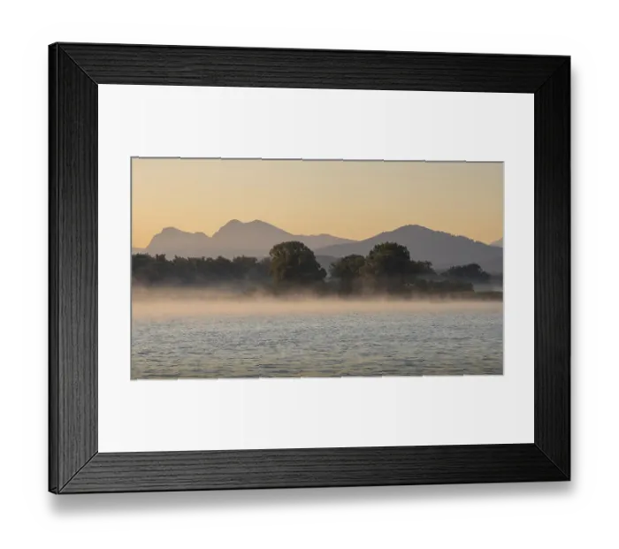 Framed Print : Mountain backdrop (Chiemgau Alps) and trees on the tranquil Chiemsee during sunrise