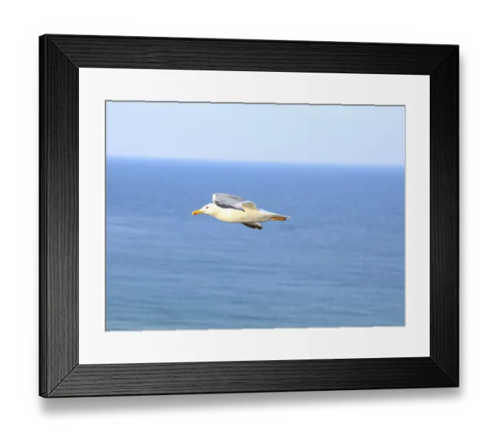 Framed Print : Flying seagull against the blue sea. Close-up