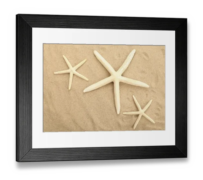 Framed Print : Three starfishes is located on sandy background