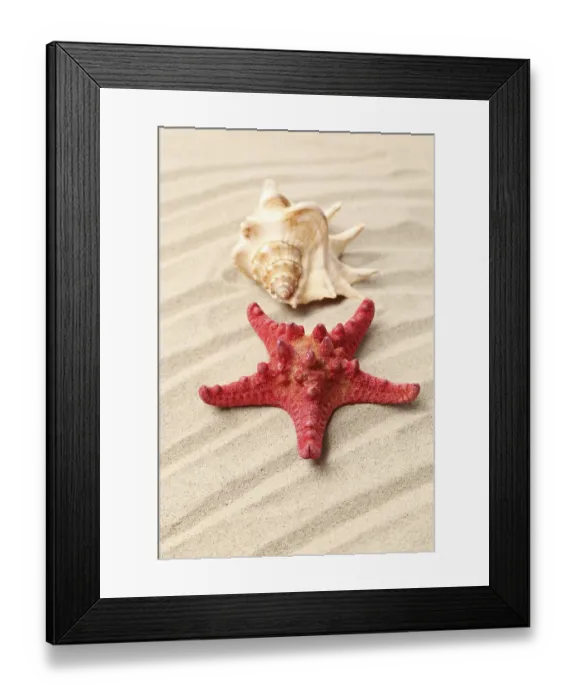 Framed Print : Red starfish and shell on sandy background Framed Print : Red starfish and shell on sandy background