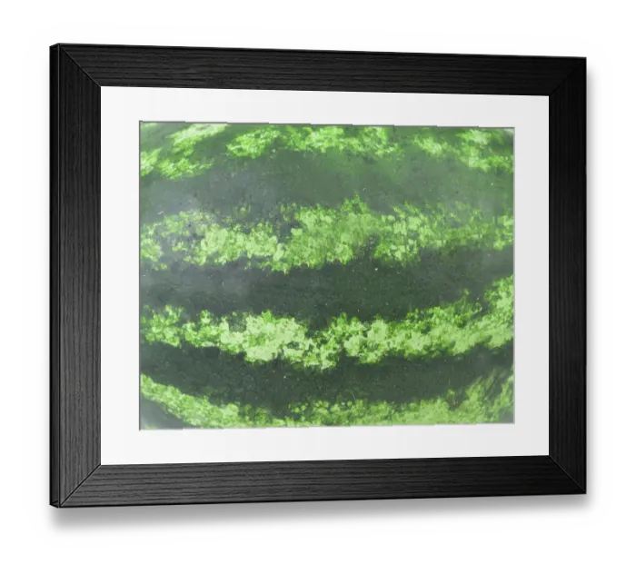 Framed Print : Watermelon texture. Strips disposed horizontally Framed Print : Watermelon texture. Strips disposed horizontally