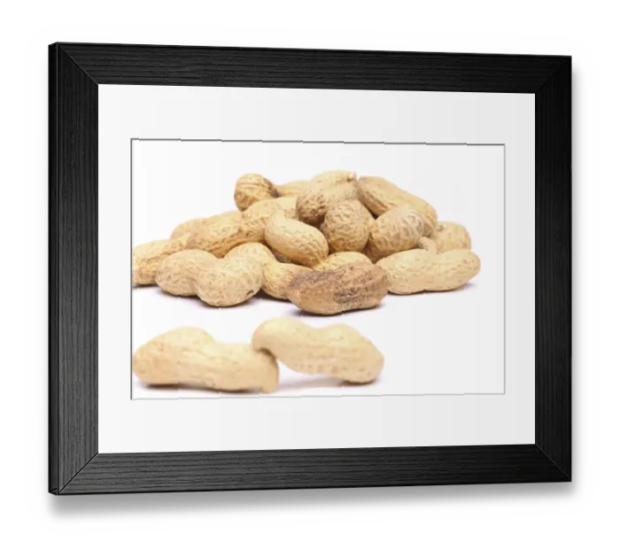 Framed Print : Two peanuts in closeup on the peanut background