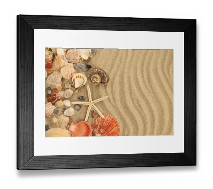 Framed Print : Background of sand, shells and sea start. Texture Framed Print : Background of sand, shells and sea start. Texture