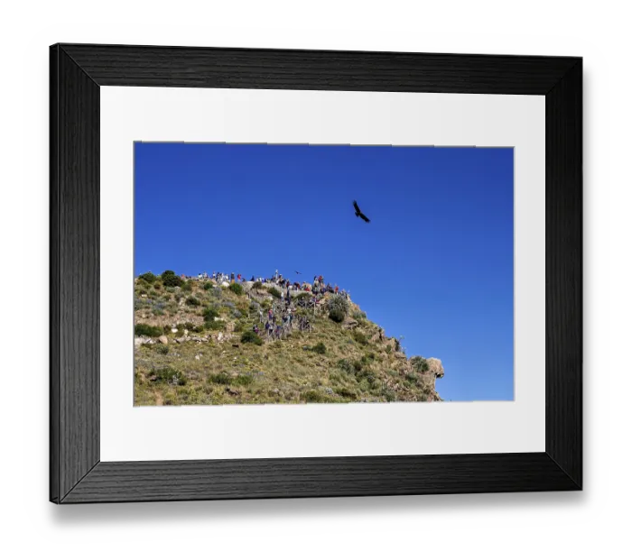 Framed Print : Viewpoint on a green rock with people watching the sky while birds fly