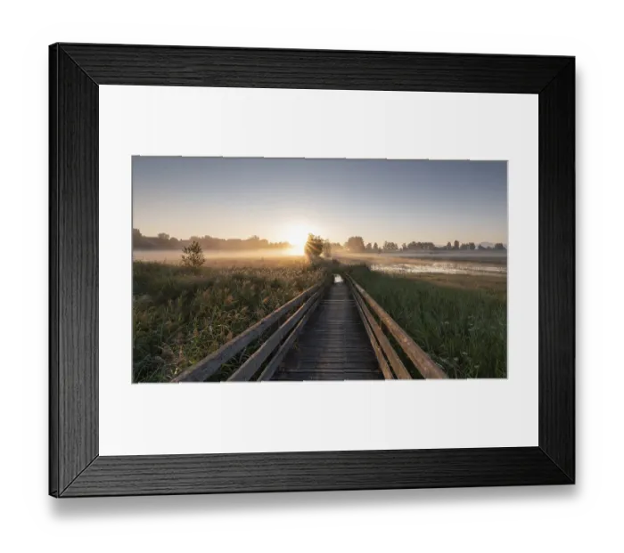 Framed Print : A wooden path leads through a foggy meadow