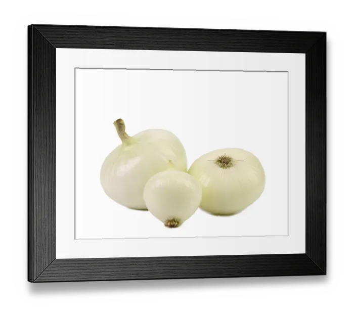 Framed Print : White onion isolated on a white background Framed Print : White onion isolated on a white background