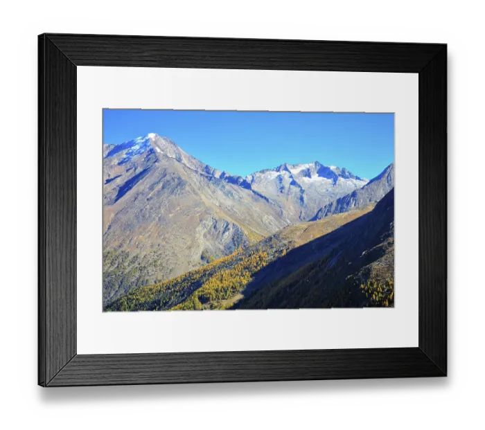 Framed Print : Alpine landscape with snow-capped peaks and autumn trees under a blue sky Framed Print : Alpine landscape with snow-capped peaks and autumn trees under a blue sky