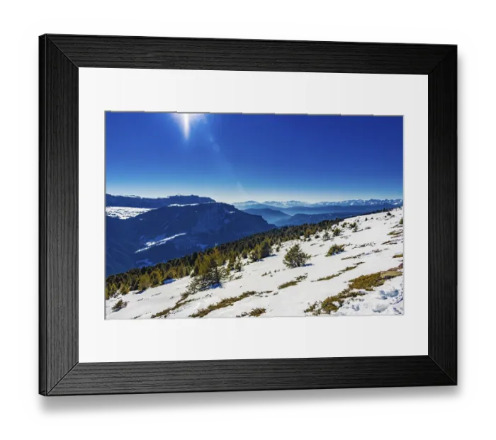 Framed Print : Coniferous forests at high altitude on the snowy mountains Framed Print : Coniferous forests at high altitude on the snowy mountains