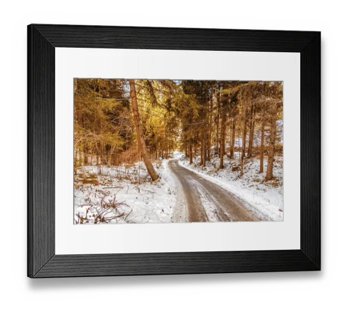 Framed Print : Dirt path under green conifers on the snowy Italian Alps