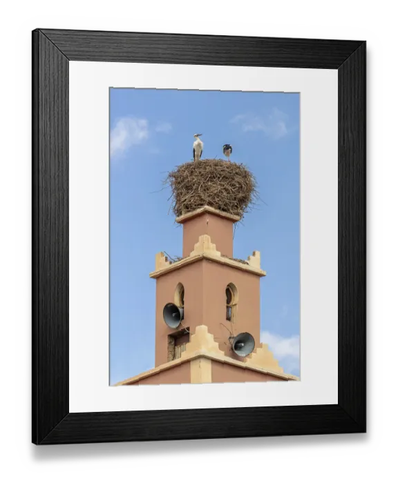 Framed Print : MAR, Dade Valley, storks Framed Print : MAR, Dade Valley, storks