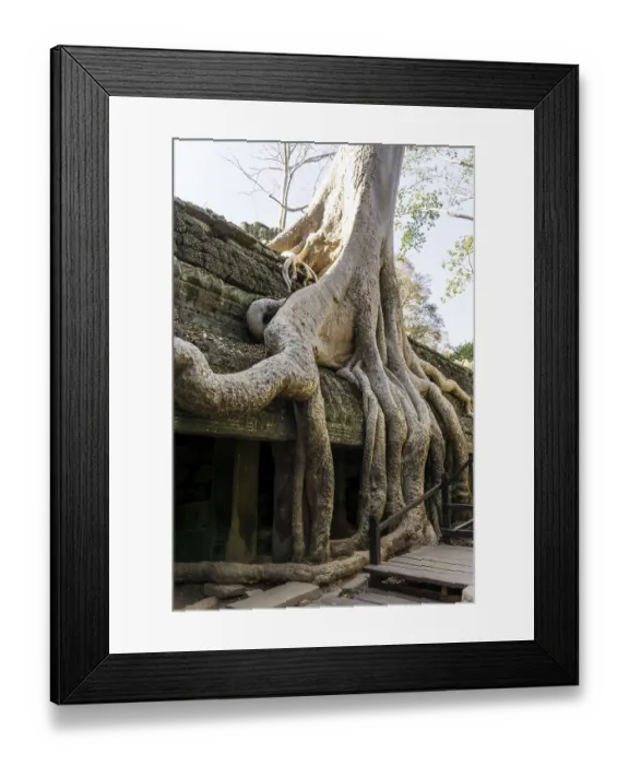 Framed Print : Ta Prohm temple and ruins in Siem Reap