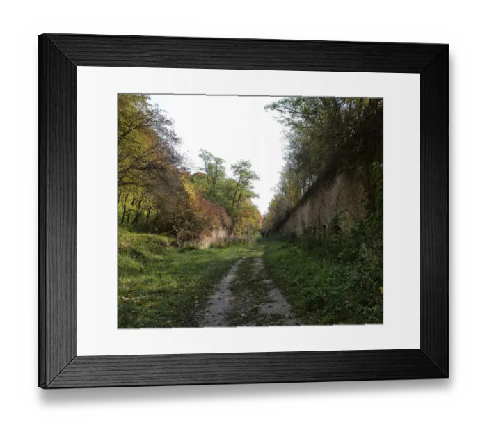 Framed Print : Colorful leaves on the trees against the blue sky autumn forest