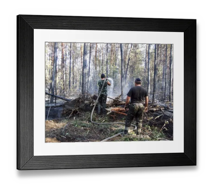 Framed Print : Firemen fighting a bushfire wildfire in the coniferous forest Framed Print : Firemen fighting a bushfire wildfire in the coniferous forest