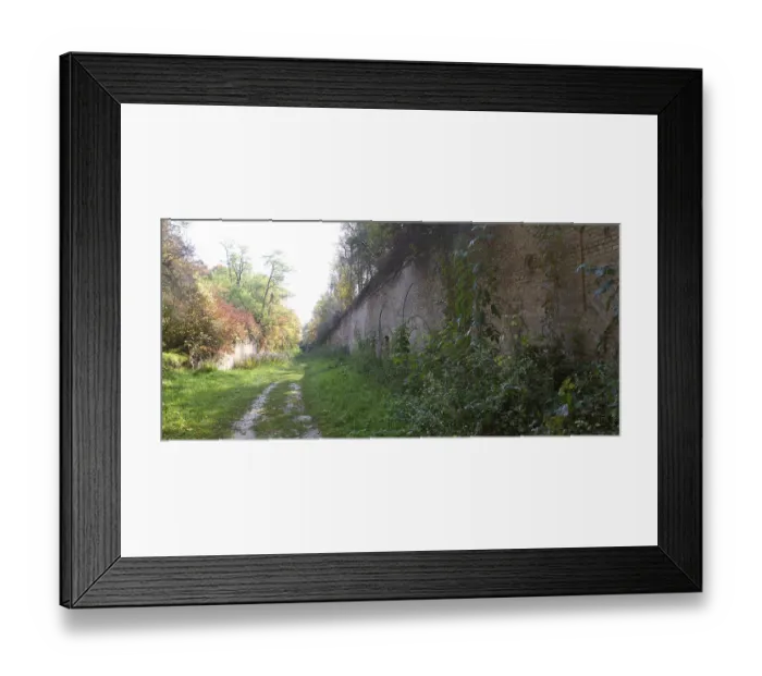 Framed Print : Colorful leaves on the trees against the blue sky autumn forest