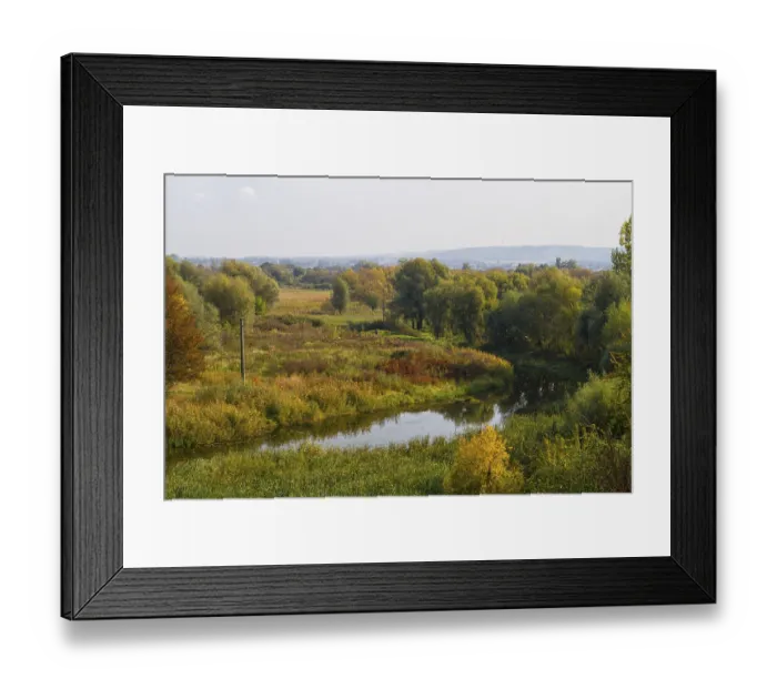 Framed Print : Colorful leaves on the trees against the blue sky autumn forest