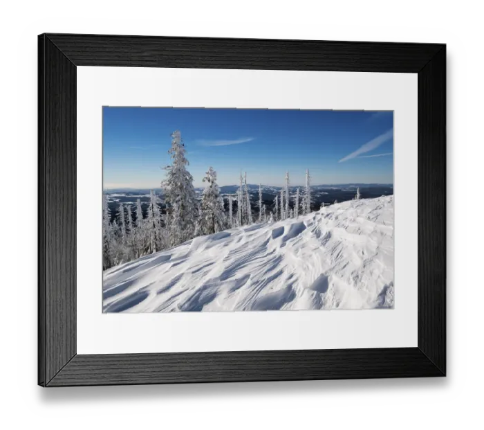 Framed Print : Snow drifts, forest with dead trees in the snow Framed Print : Snow drifts, forest with dead trees in the snow
