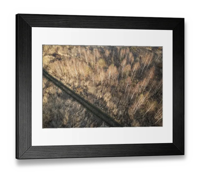 Framed Print : Drone view of the forest and dirt track in Tymowa