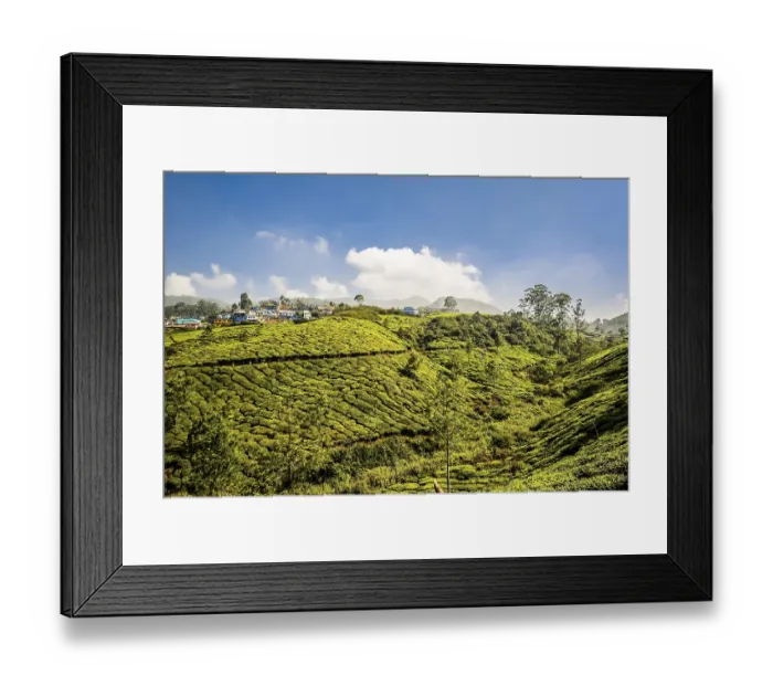 Framed Print : Tea plantations in the mountains near Munnar