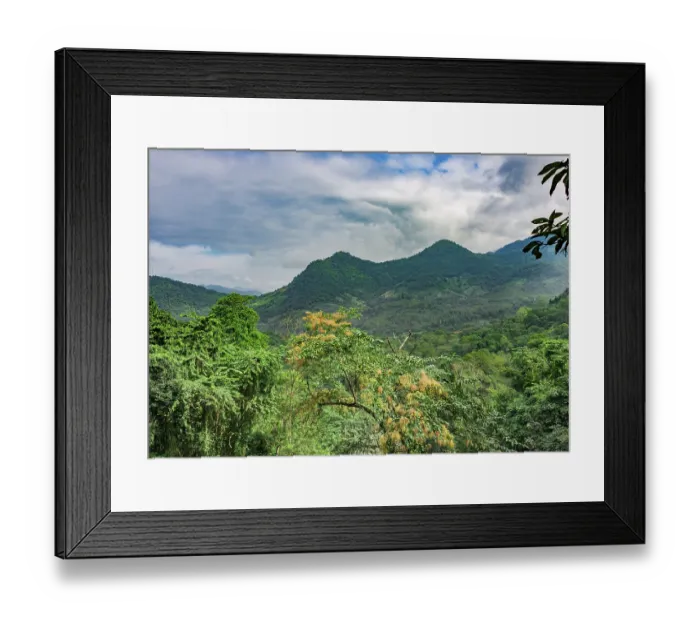 Framed Print : Rainforest landscape, wooded mountains near Tat Kuang Si Waterfalls