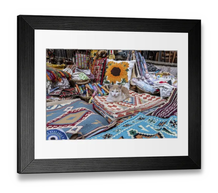 Framed Print : Cat resting on traditionally woven carpets in the bazaar of Gjirokaster Framed Print : Cat resting on traditionally woven carpets in the bazaar of Gjirokaster