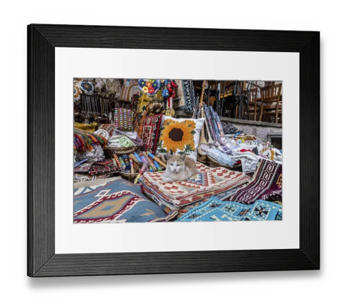 Framed Print : Cat between carpets and textiles in the bazaar of Gjirokaster