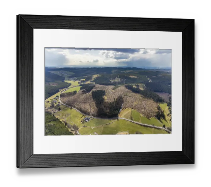 Framed Print : Aerial photo, forest damage in the forest area Berg Ebschloh