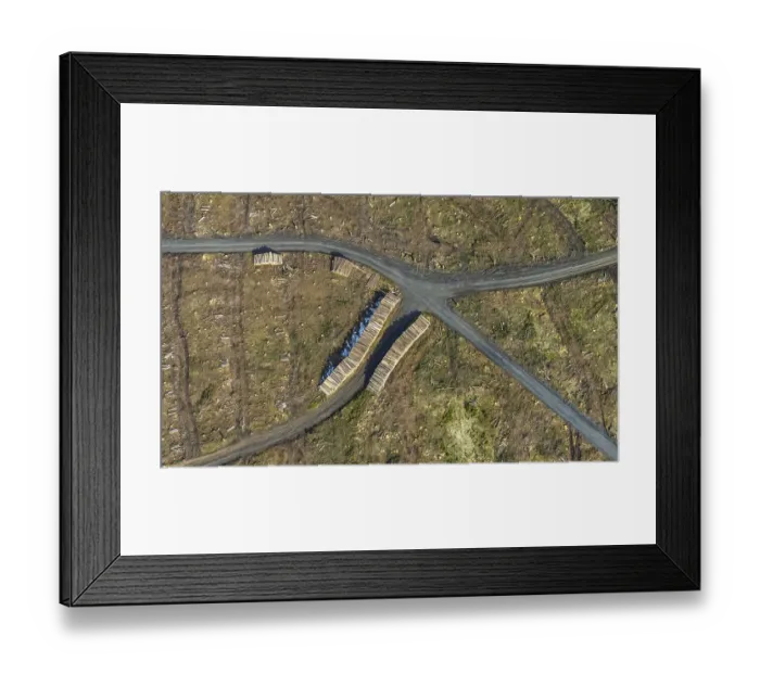 Framed Print : Aerial view, forest damage in the forest area Berg Ebschloh Framed Print : Aerial view, forest damage in the forest area Berg Ebschloh