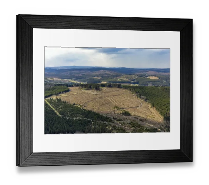 Framed Print : Aerial photo, forest damage in the forest area Berg Ebschloh