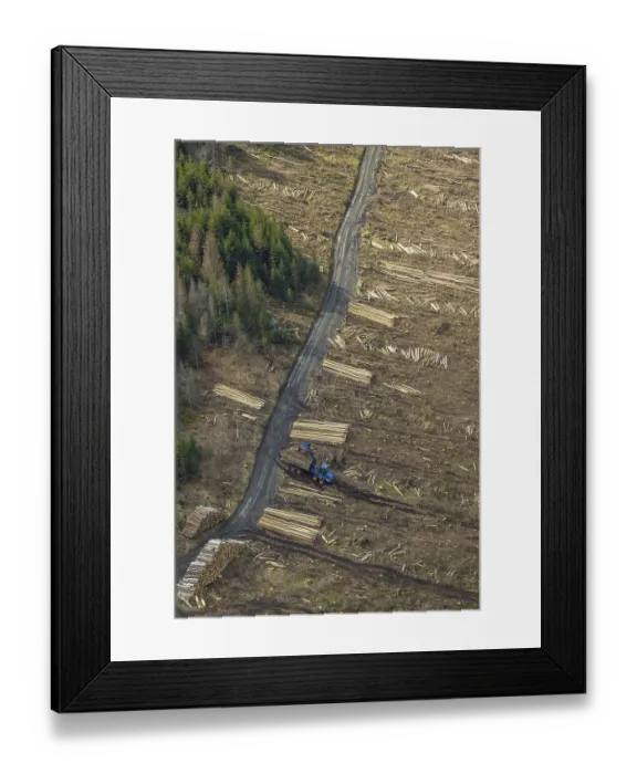 Framed Print : Aerial view, forest damage in the forest area Berg Ebschloh