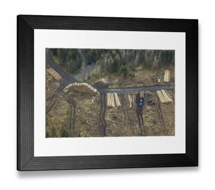Framed Print : Aerial photo, forest damage in the forest area Berg Ebschloh Framed Print : Aerial photo, forest damage in the forest area Berg Ebschloh