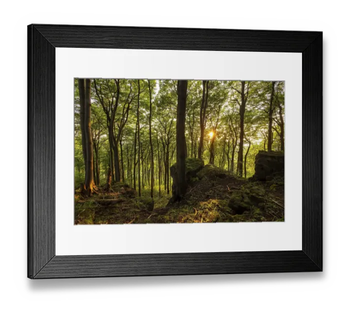 Framed Print : View from cliffs of the Ith into an atmospheric beech forest in the evening light Framed Print : View from cliffs of the Ith into an atmospheric beech forest in the evening light