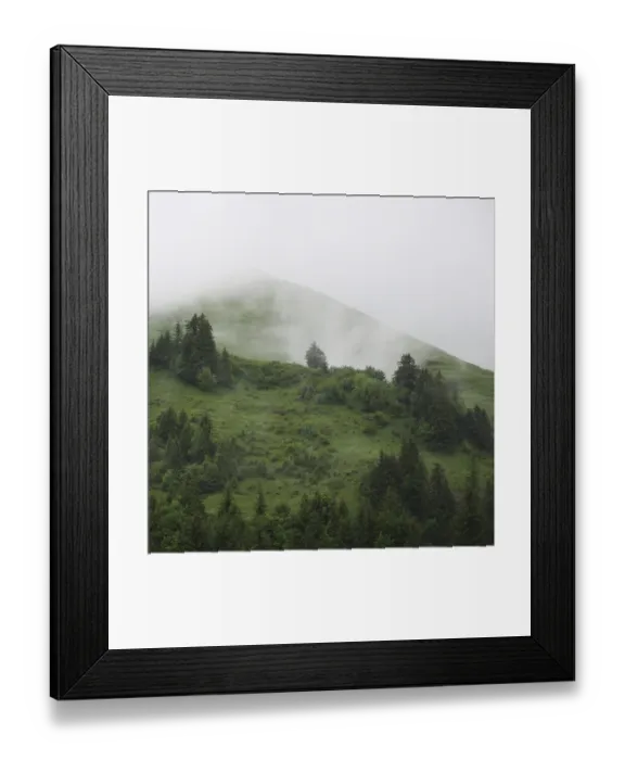 Framed Print : Green mountain meadow and trees seen from Planalp Framed Print : Green mountain meadow and trees seen from Planalp