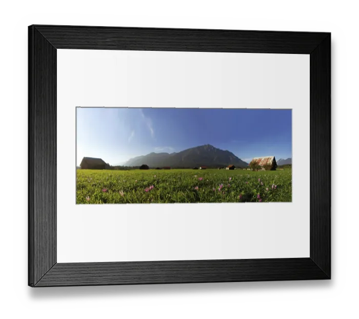 Framed Print : Flower meadow in the evening light near Hammersbach Framed Print : Flower meadow in the evening light near Hammersbach