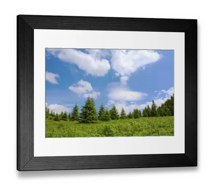 Framed Print : Mountain meadow