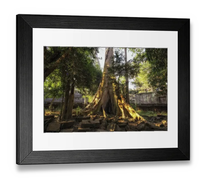 Framed Print : Ta Prohm temple and ruins in Siem Reap Framed Print : Ta Prohm temple and ruins in Siem Reap