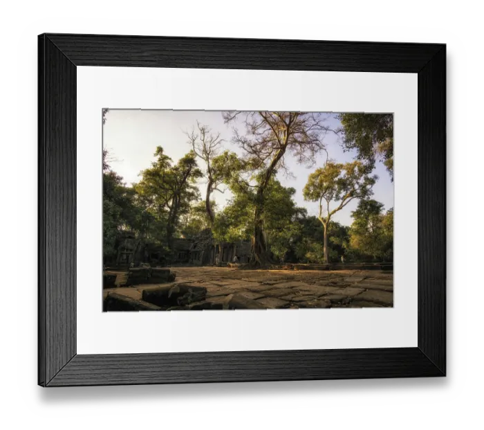 Framed Print : Ta Prohm temple and ruins in Siem Reap