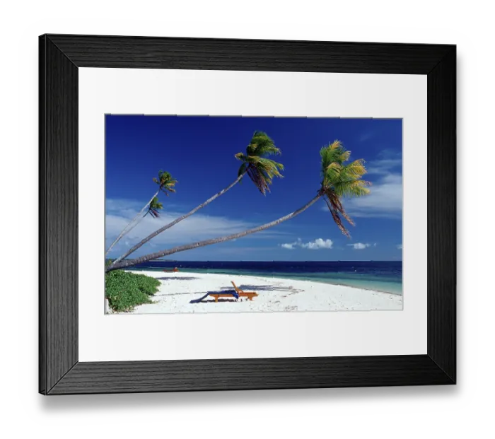 Framed Print : Coconut palms on a sandy beach