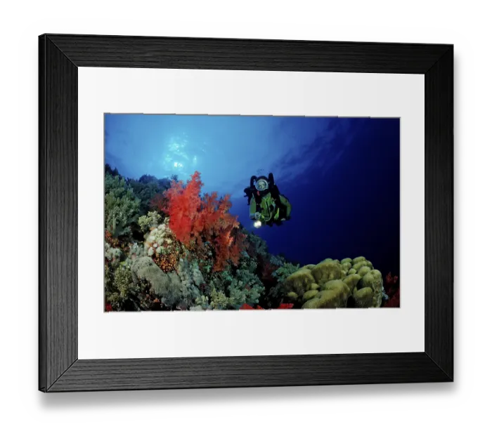 Framed Print : Diver and colourful coral reef