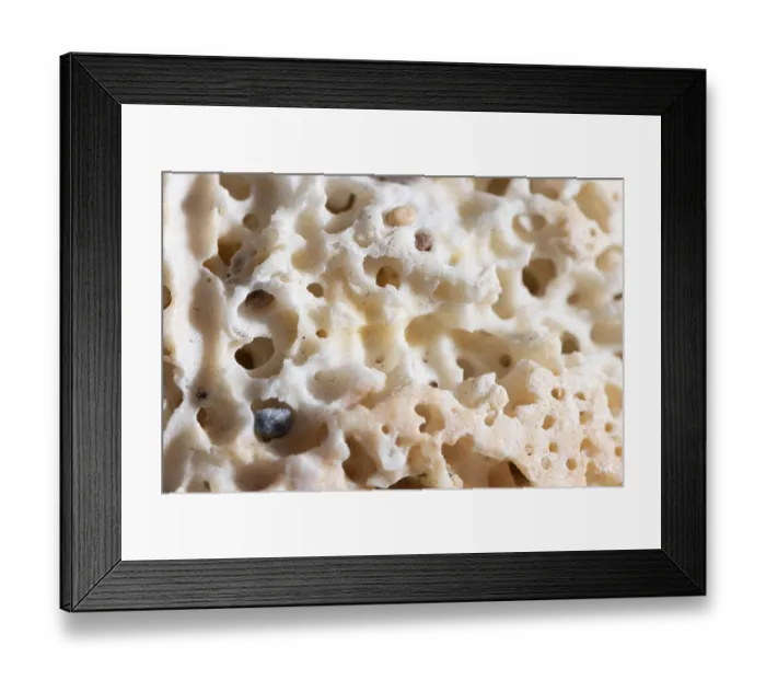 Framed Print : Close up coral organic background 2
