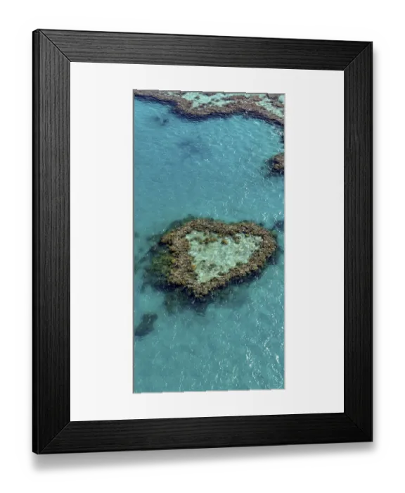 Framed Print : Coral Reef, Heart Reef, part of Hardy Reef