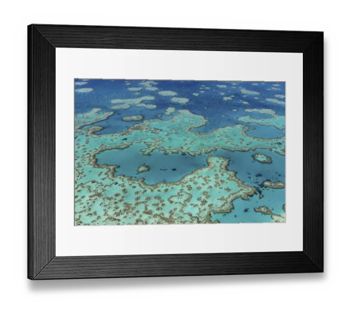Framed Print : Coral Reef, Heart Reef, part of Hardy Reef