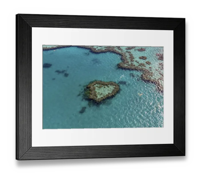 Framed Print : Coral Reef, Heart Reef, part of Hardy Reef