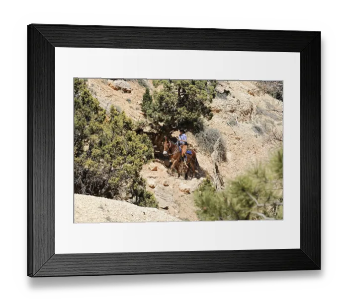 Framed Print : A rider on a horse makes his way through wooded