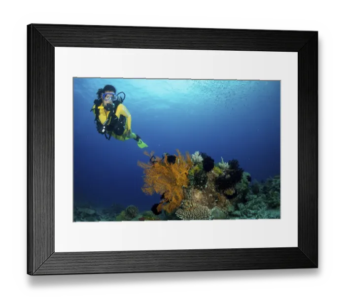 Framed Print : Scuba diver in a colourful coral reef, Philippines