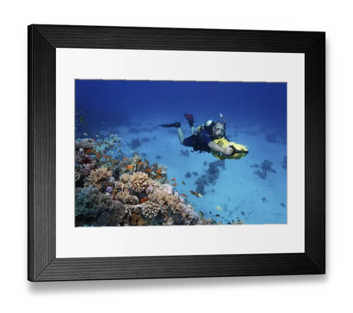Framed Print : Diver with a diver propulsion vehicle exploring a coral reef Framed Print : Diver with a diver propulsion vehicle exploring a coral reef