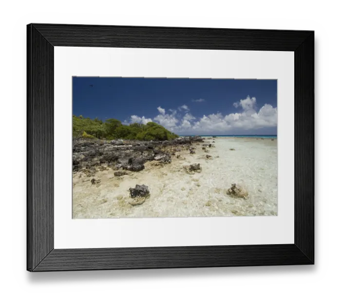 Framed Print : Bird Island, Tikehau coral atoll
